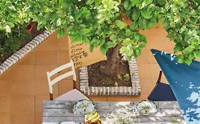 El Patio Del Limonero